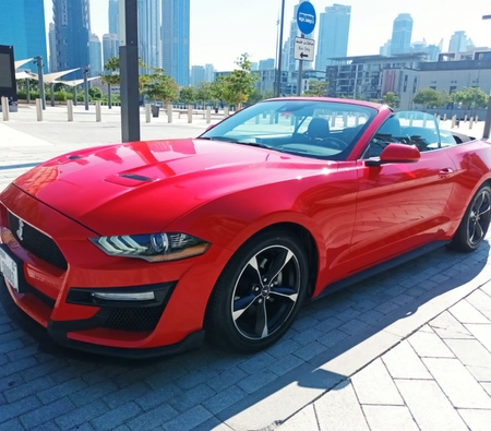 Ford Mustang EcoBoost Convertible V4 2020 for rent in دبي