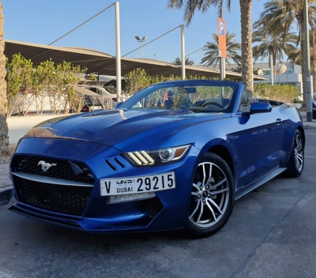 Ford Mustang EcoBoost Convertible V4 2019 for rent in دبي