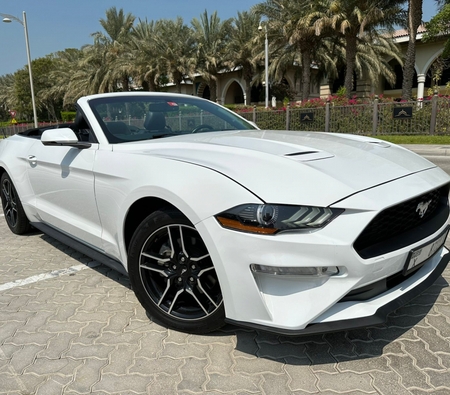 Ford Mustang EcoBoost Convertible V4 2019 for rent in 迪拜
