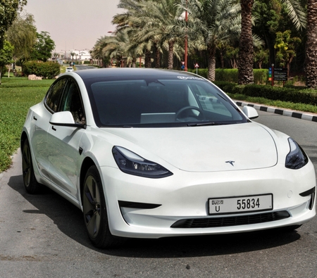 Tesla Model 3 Standart Artı 2022