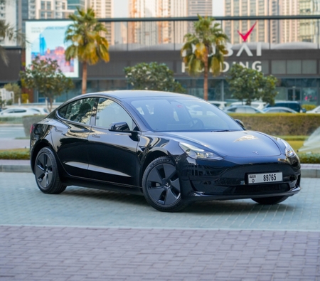 Tesla Modelo 3 Estándar Plus 2023