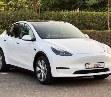 Tesla Modello Y a lungo raggio 2023
