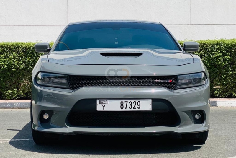 gris Esquivar Cargador V6 2019