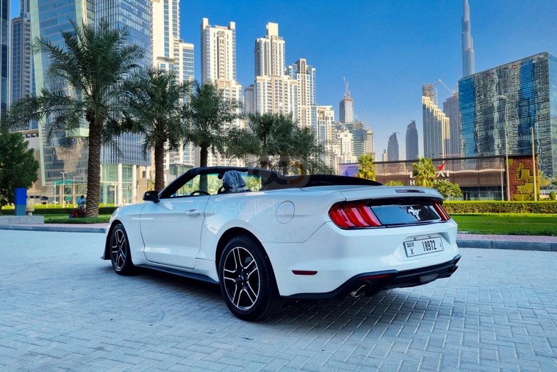 白色的 福特 Mustang Shelby GT Kit Convertible V4 2020