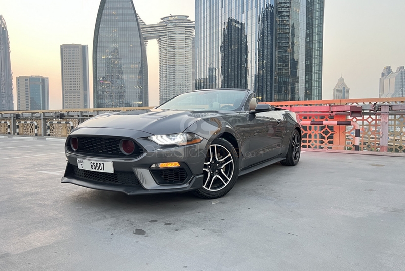 Gray Ford Mustang EcoBoost Convertible V4 2020
