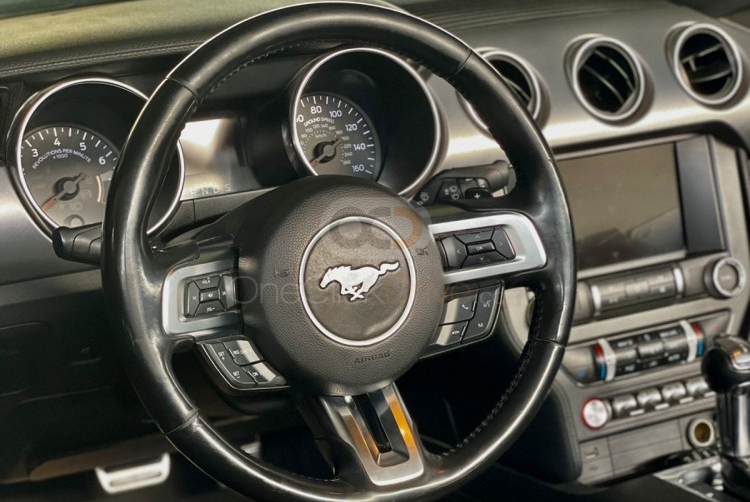 D'argento Guado Mustang EcoBoost Convertible V4
 2019