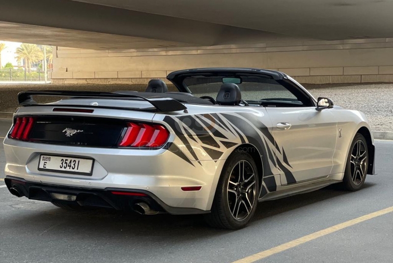 Zilver Ford Mustang EcoBoost Convertible V4 2019