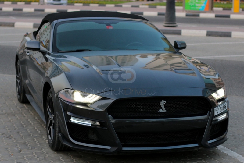 Grijs Ford Mustang Shelby GT Convertible V8 2019