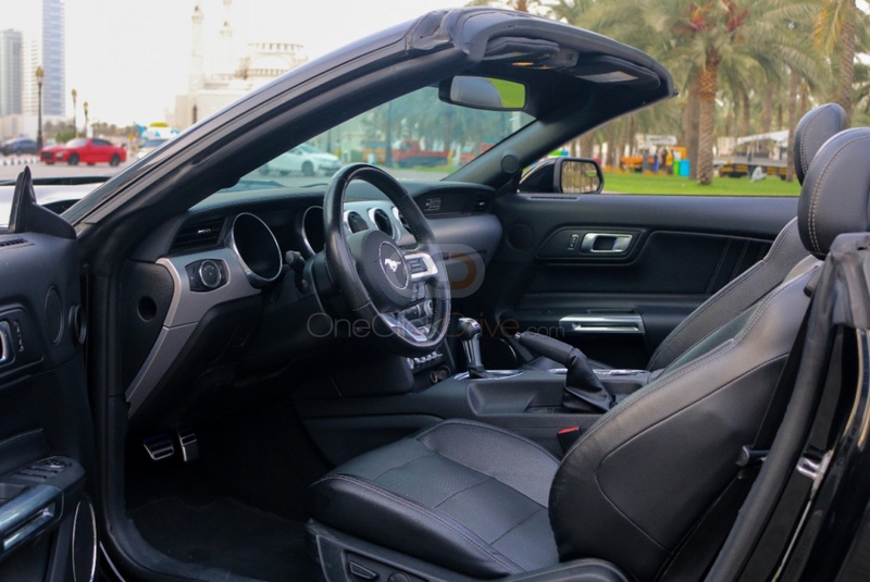 Grau Ford Mustang Shelby GT Cabrio V8 2019
