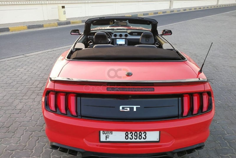 红色的 福特 野马谢尔比 GT500 敞篷 V8 2019