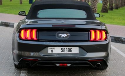 Gri Ford Mustang Shelby GT Dönüştürülebilir V8 2019