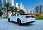 White Ford Mustang Shelby GT Kit Convertible V4 2020