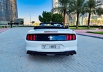White Ford Mustang Shelby GT Kit Convertible V4 2020