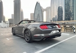 Gray Ford Mustang EcoBoost Convertible V4 2020