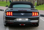 gris Vado Mustang Shelby GT Convertible V8 2019