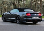 Gray Ford Mustang Shelby GT Convertible V8 2019