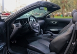Grau Ford Mustang Shelby GT Cabrio V8 2019