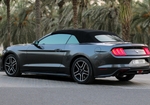Gray Ford Mustang Shelby GT Convertible V8 2019