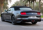 grise Gué Mustang Shelby GT décapotable V8 2019