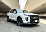 White Hyundai Palisade 2022
