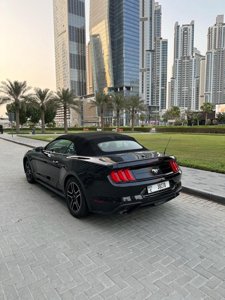 Negro Vado Mustang EcoBoost Convertible V4 2019