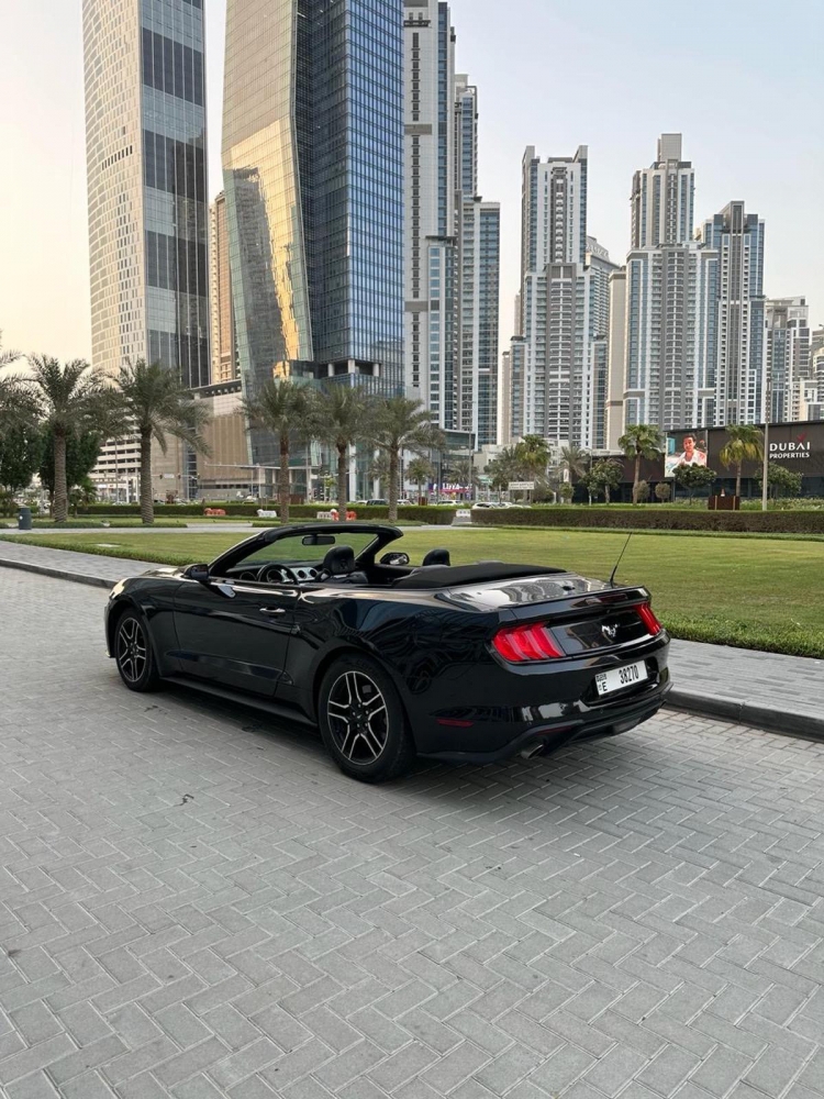 zwart Ford Mustang EcoBoost Convertible V4 2019