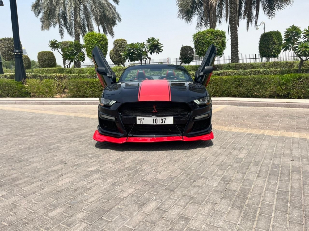 Rot Ford Mustang EcoBoost Cabrio V4 2020