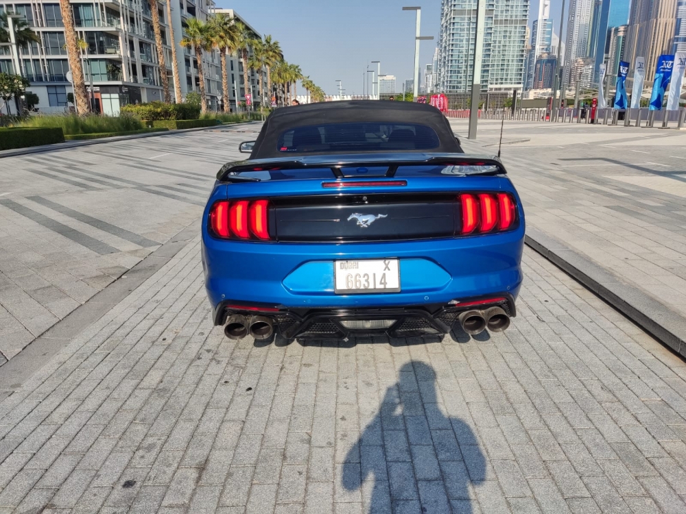 Mavi Ford Mustang EcoBoost Dönüştürülebilir V4 2020