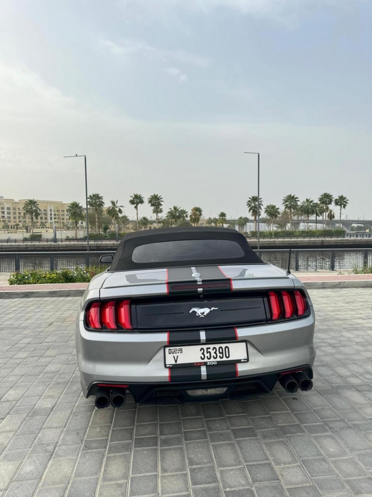 Zilver Ford Mustang EcoBoost Convertible V4 2021
