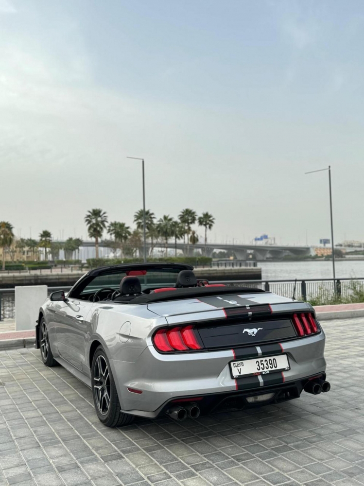 Silber Ford Mustang EcoBoost Cabrio V4 2021