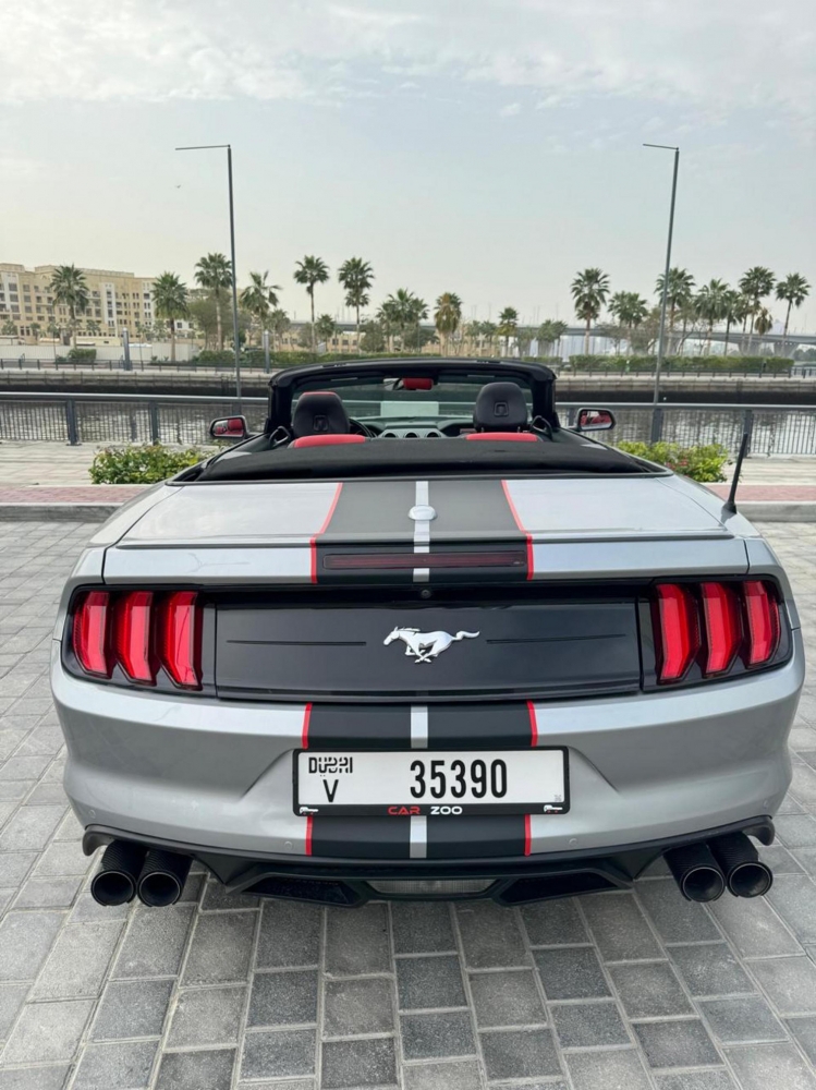 Silver Ford Mustang EcoBoost Convertible V4 2021