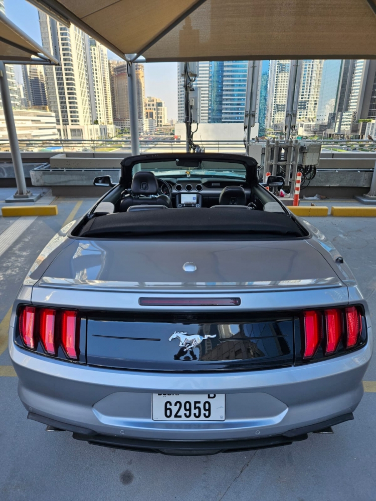 Silber Ford Mustang EcoBoost Cabrio V4 2023