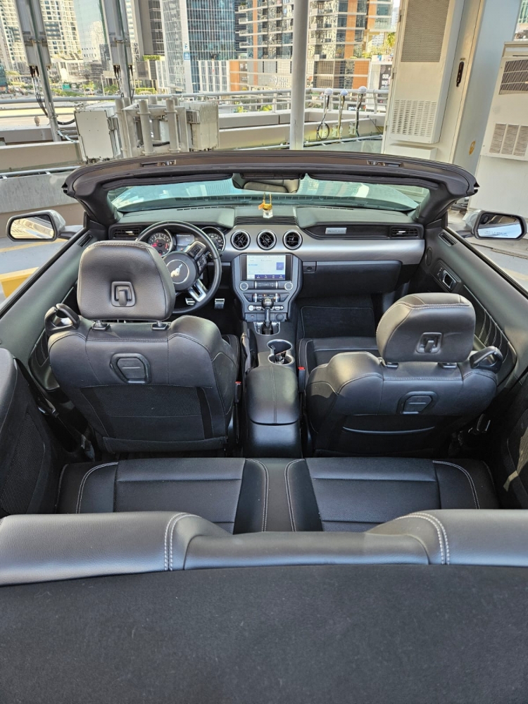 Серебро Форд Mustang EcoBoost Convertible V4 2023 год