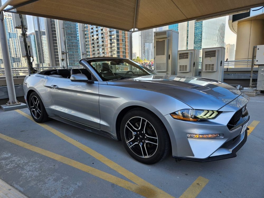 Silber Ford Mustang EcoBoost Cabrio V4 2023