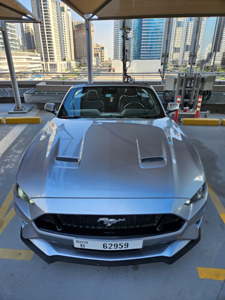 Серебро Форд Mustang EcoBoost Convertible V4 2023 год