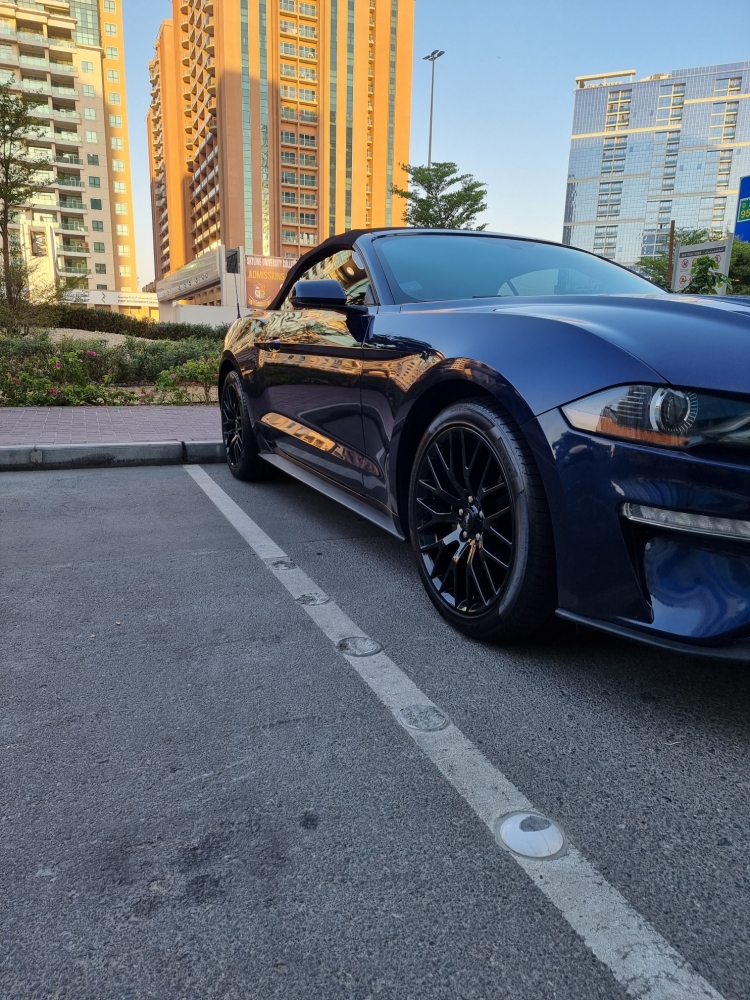Blauw Ford Mustang GT Cabrio V4 2020