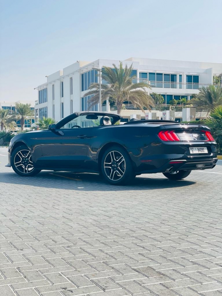 Black Ford Mustang EcoBoost Convertible V4 2023