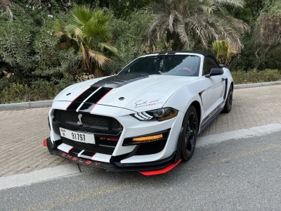 Rent Ford Mustang Shelby GT Kit Convertible V4 2022