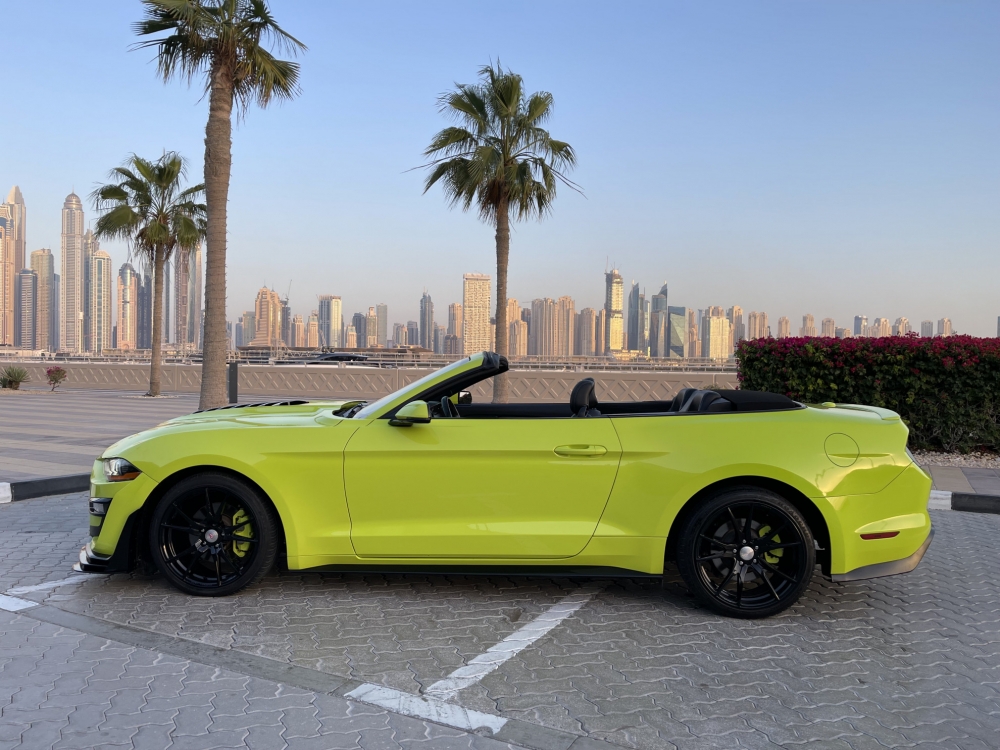 Light Green Ford Mustang Shelby GT500 Kit Convertible V4 2019