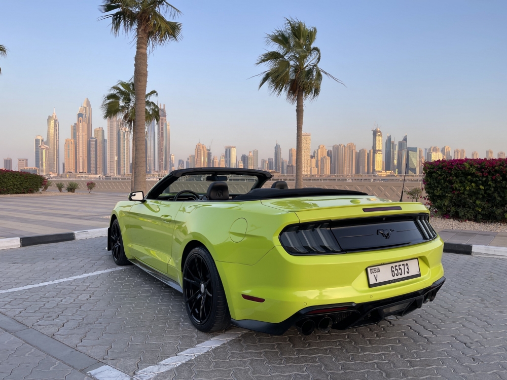 Светло-зеленый Форд Комплект Mustang Shelby GT500 Convertible V4 2019 год