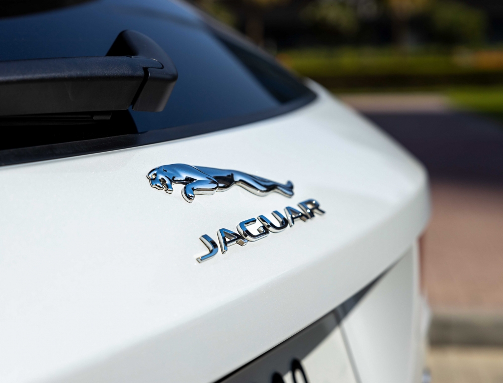 Beyaz Jaguar F Temposu 2021