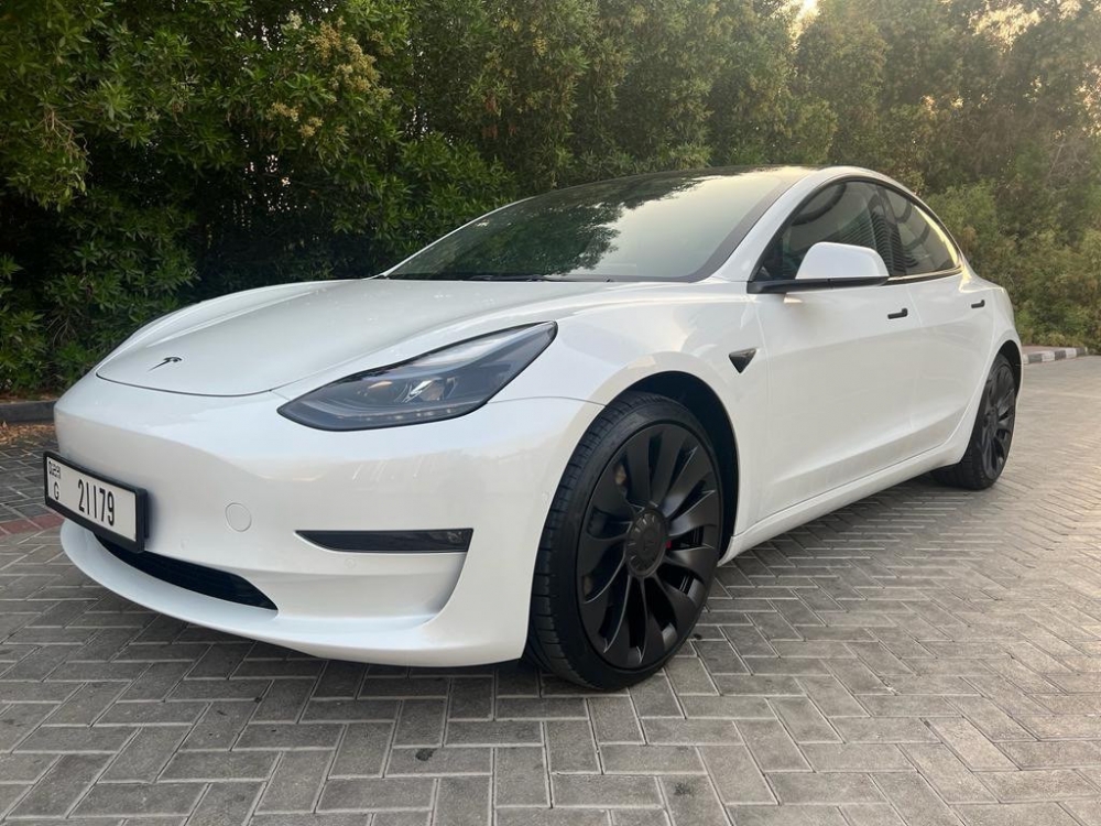 blanc Tesla Performances du modèle 3 2022