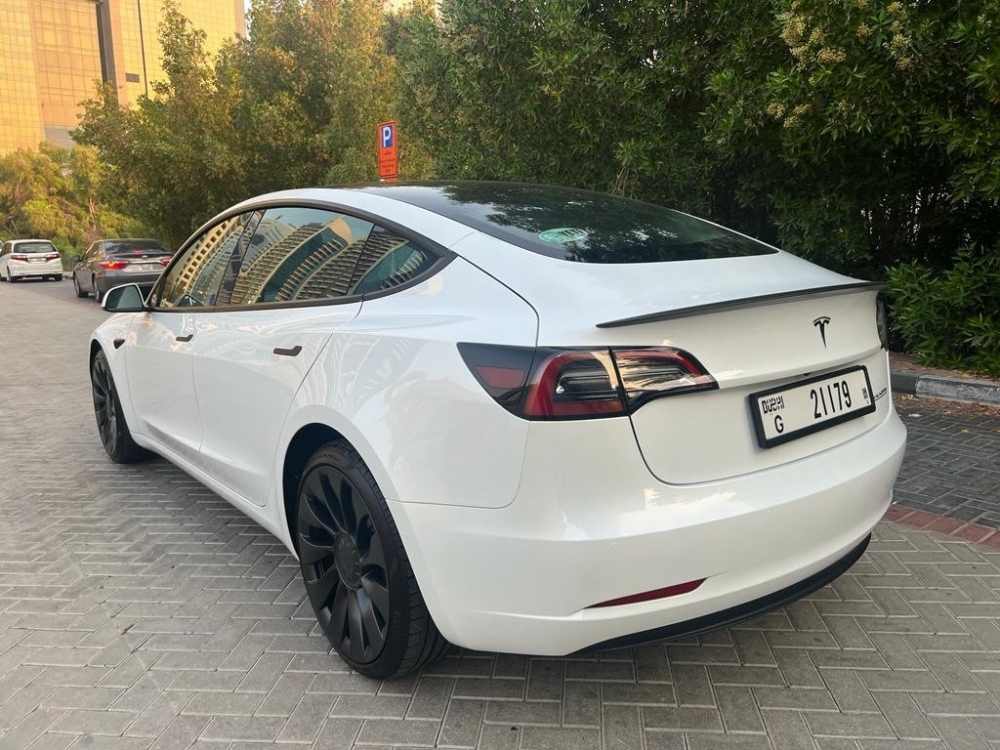 Blanco Tesla Rendimiento del modelo 3 2022