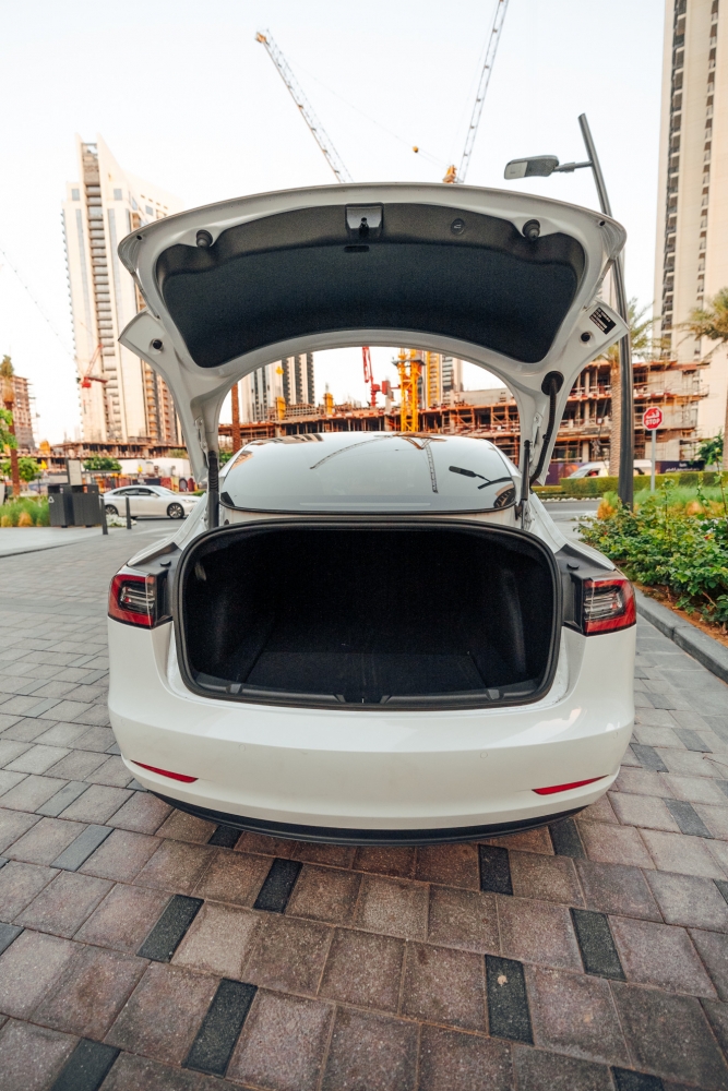 Bianca Tesla Modello 3 Standard Plus 2021