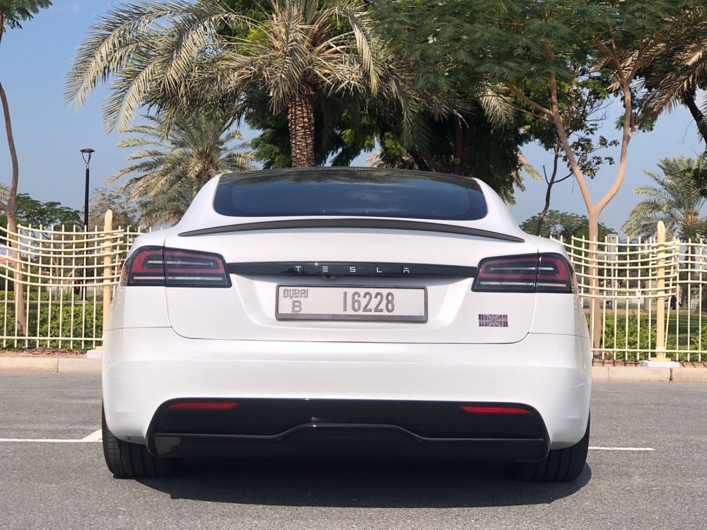 Blanco Tesla Cuadros modelo S 2023