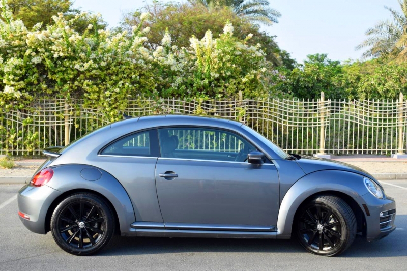 Grey Volkswagen Beetle 2018