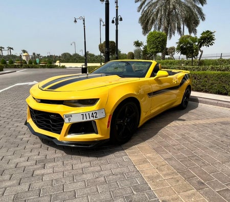 Rent Chevrolet  2020 in Dubai