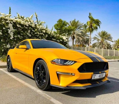 Rent Ford  2018 in Dubai