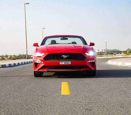 Rent Ford Mustang Convertible EcoBoost 2019 in Dubai