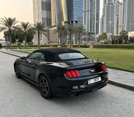 Affitto Guado Mustang EcoBoost Convertible V4
 2019 in Dubai